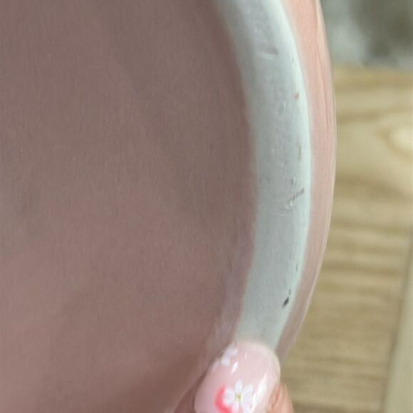 Rae Dunn By Magenta FLOURISH
Pink Ceramic Garden Watering Can - Picture 14 of 17